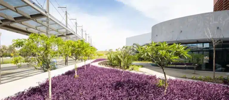 Centro de convenciones de costarica Sostenible