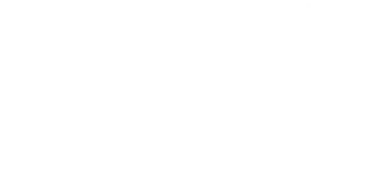 web decoración flores