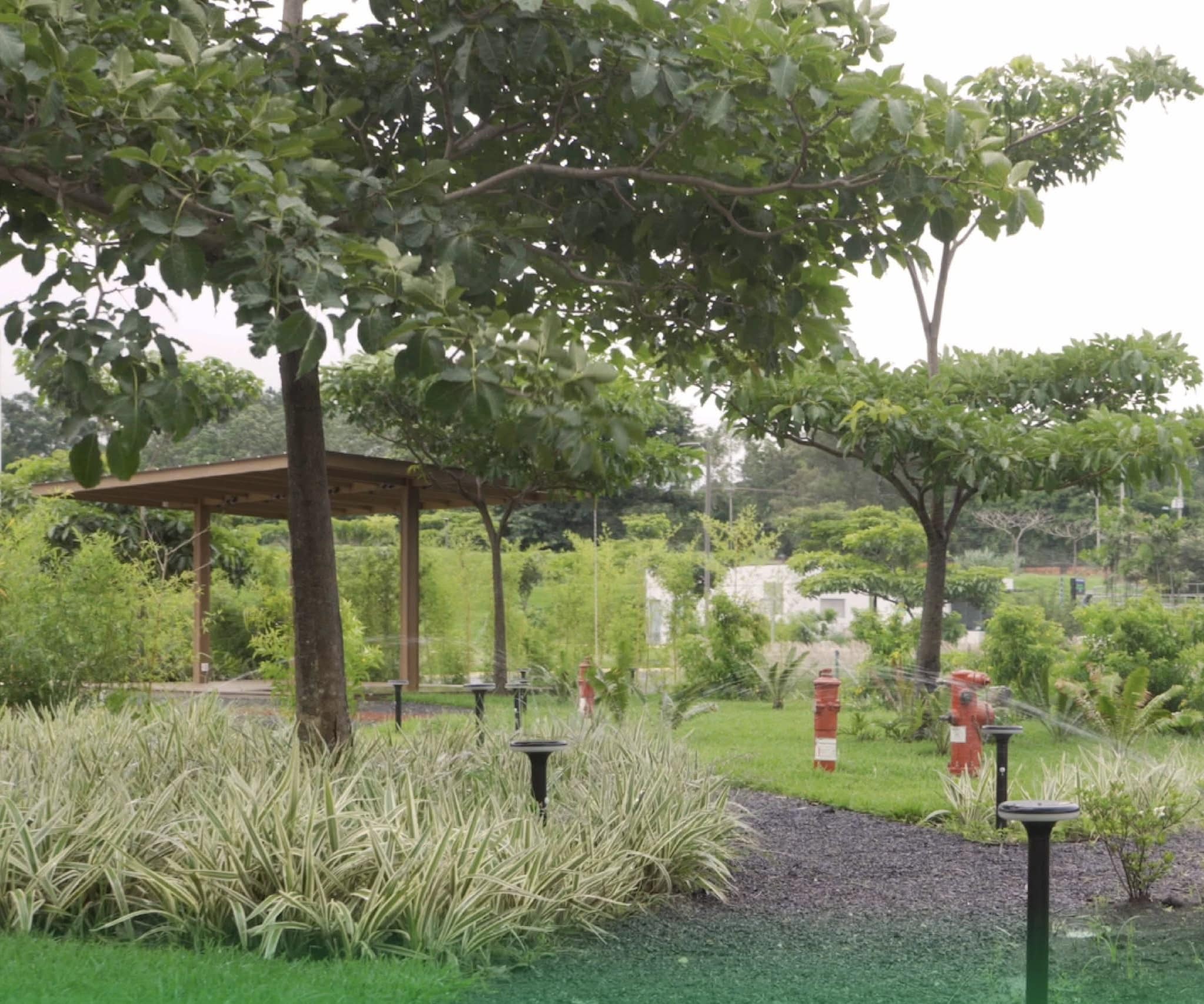 Costa Rica Centro de Convenciones|Sustainability